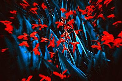 《足球经理25》再次延期 11月底发售部分功能已被砍